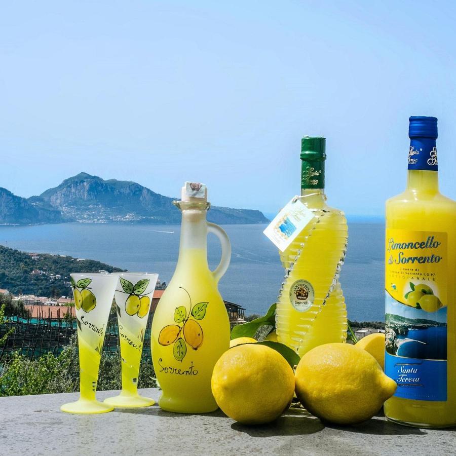 B&B Mamma Sorrento Holidays Dış mekan fotoğraf